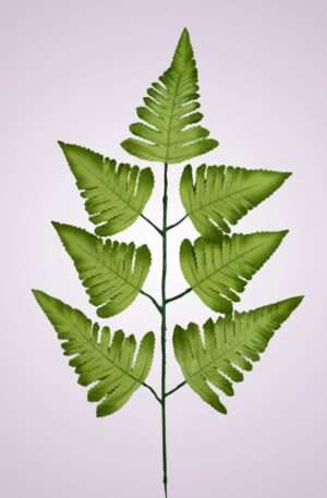 MP0543SAT - green tch gr