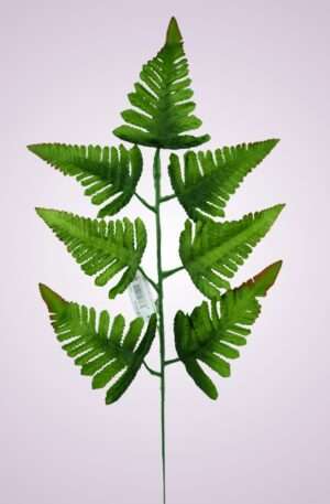 Rumora GREEN TOP BR<p>MP0543SAT