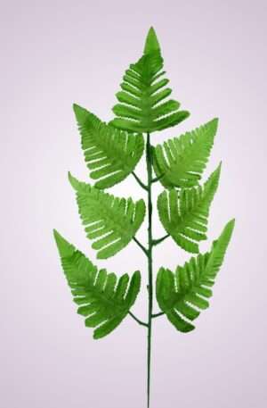 MP0543 rumora LT GREEN