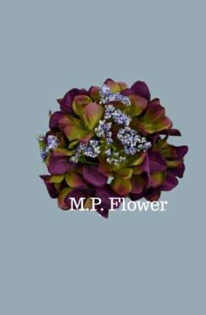 MP548 Hortenzia - purple