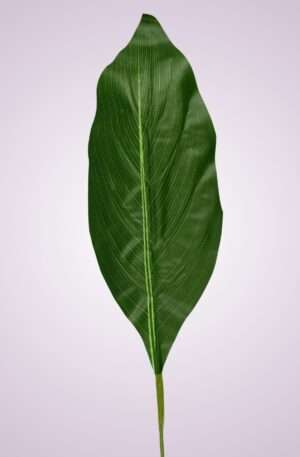 List 63 cm <p>RS234306