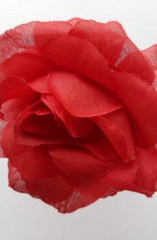 Ruža 10 cm -- červená