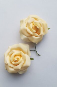 Ruža 6 x kvet 7 cm - Svetlo oranžová