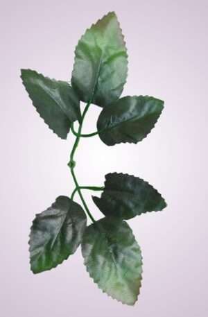 YS20169 list ruža - green tch