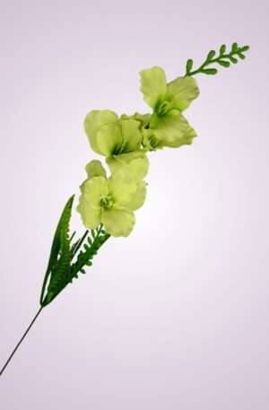 Y2216 gladiola mini- zelená