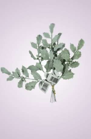 Mahónia konár 23cm<p>831660