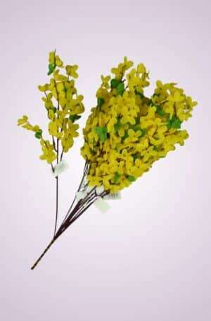 Zlatý dážď<p>C24001