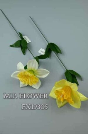 Narcis stopkový<p>FX19305