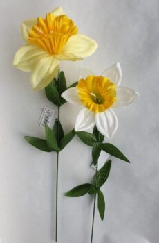 Narcis stopkový 42 cm - Farby