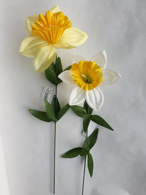 Narcis stopkový 42 cm - Farby