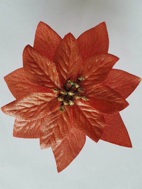 Vianočná ruža 13 cm - Oranžová