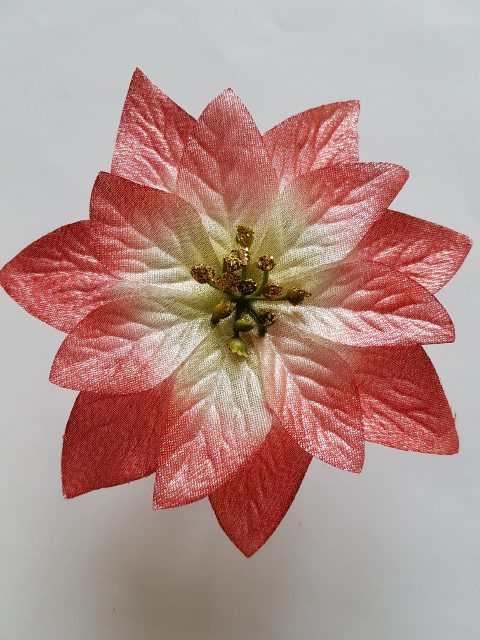 Vianočná ruža 13 cm - Ružová