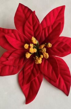 Vianočná ruža 15 cm - Červená