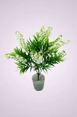 Konvalinka<p>Y2357-7