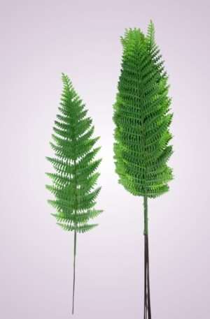 List papraď 54 cm<p>TIK030