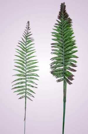 Papraď pvc 55 cm zeleno pur. <p>TIK117