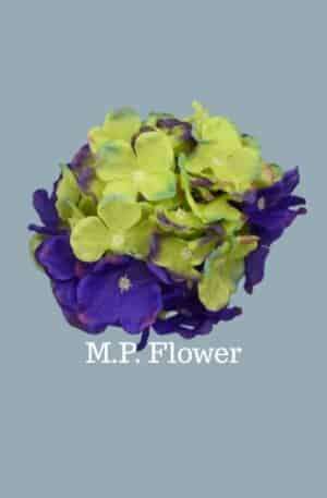 C10012 hortenzia-aut lavender