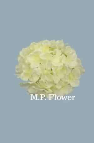 C10012 hortenzia - cream