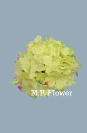 C10012 hortenzia-lt-green