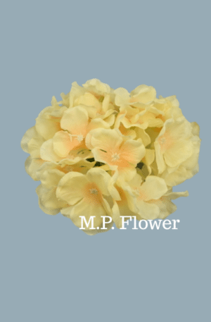 C10012 hortenzia-lt peach