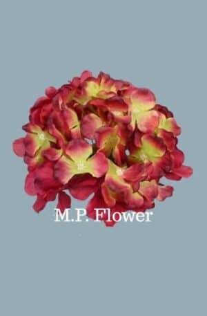 C10012 hortenzia-red