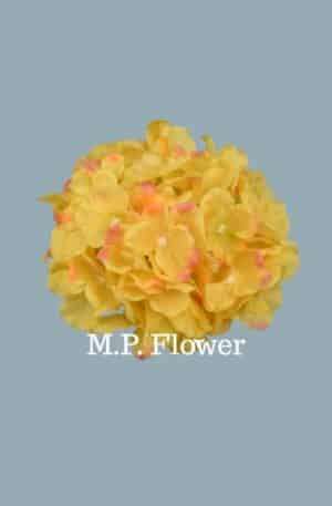 C10012 hortenzia-salmon