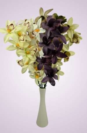 orchidea stopková<p>65792