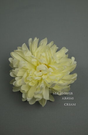 Chryzantéma vencová<p>AR85145