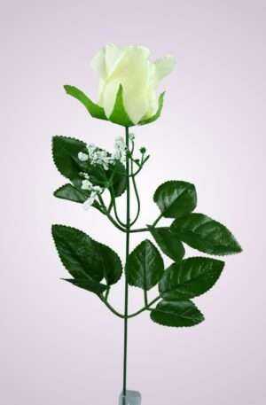 Ruža kus. krém<p>CE22080