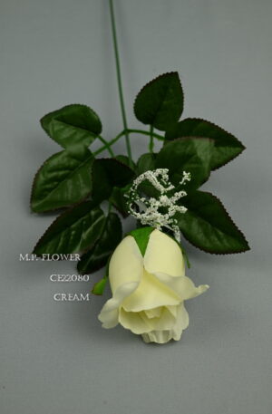 Ruža cream<p>CE22080