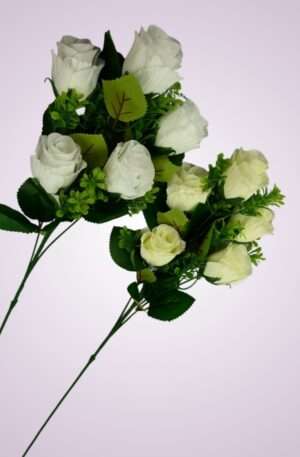 Ruža stopková trs<p>CE22084-5