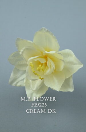 Amarylis<p>F19225