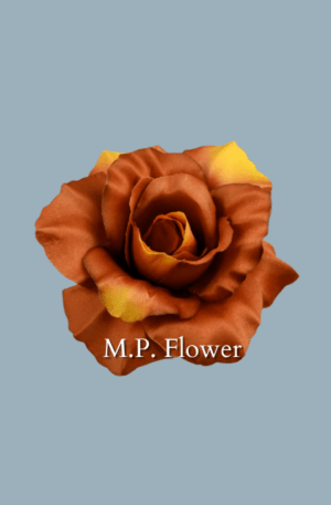 Ruža vencová<p>F2142