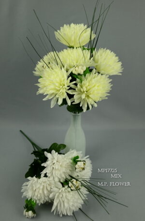 Kytica chryzantéma<p>MP17725