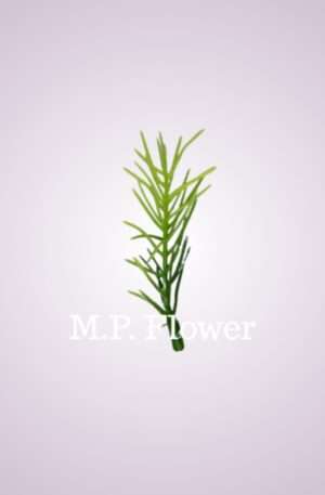 asparát pik<p>SF108.68