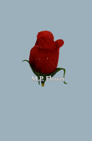 FL1176-ruža red