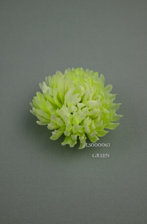 Chryzantéma<p>LS000063