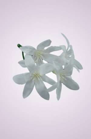 kvietok jazmín <p>ML6030