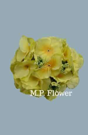 RH9911 hortenzia- lt yellow