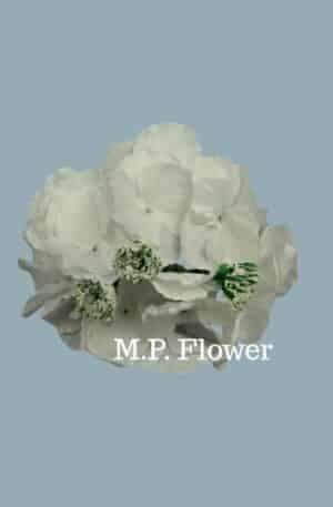 RH9911 hortenzia-pure white