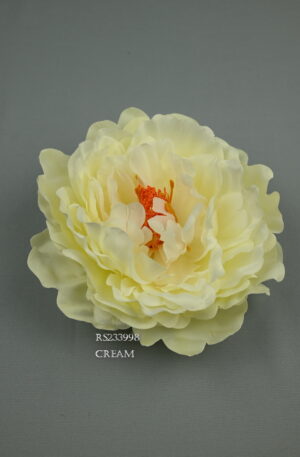 RS233998 pivónia-cream