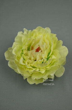 pivónia <p>RS233998
