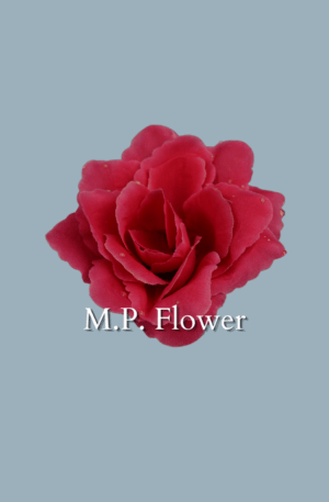 UP960115 ruža - dk pink