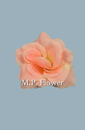 UP960115 ruža - pink