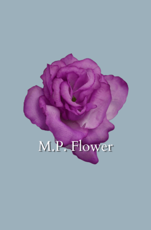 UP960115 ruža - purple