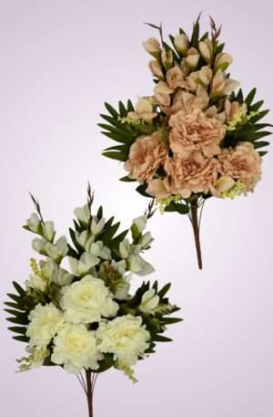 Kytica hortenzia<p>ZLCJ21114