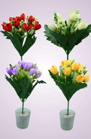 Krokus kytica<p>HS9273