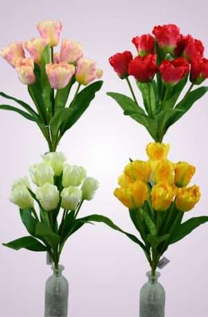 Tulipán kytica<p>MP2301-9