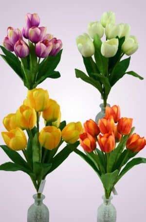 Tulipán kytica<p>MP2302-9