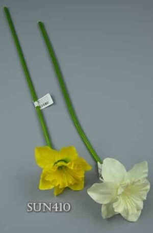 Narcis stopkový<p>SUN410